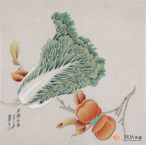 白菜寓意|白菜的寓意与象征：文化价值背后的美味传奇